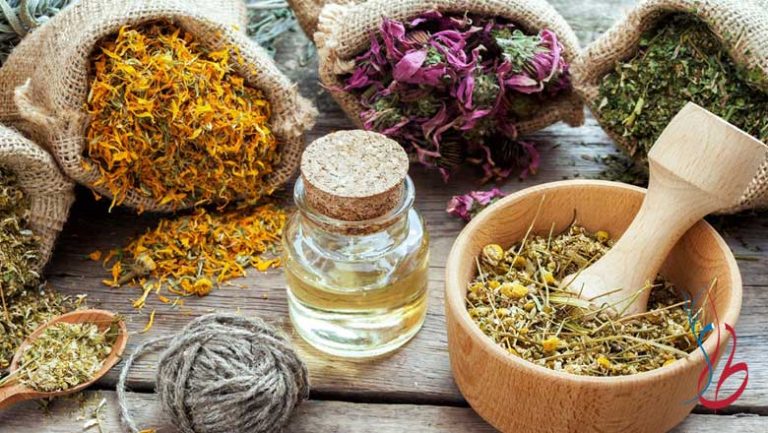 قویترین باز کتتده عروق گیاهی